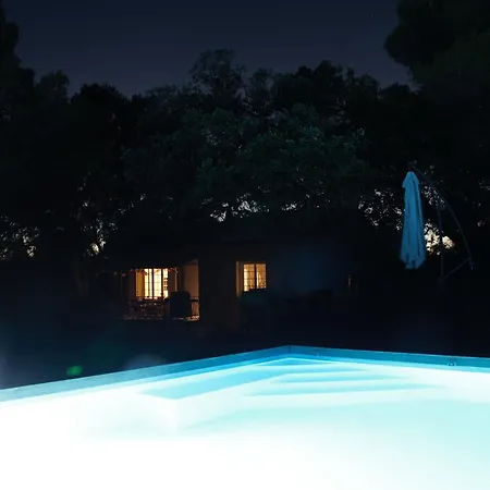 Songe D'une Nuit D'ete